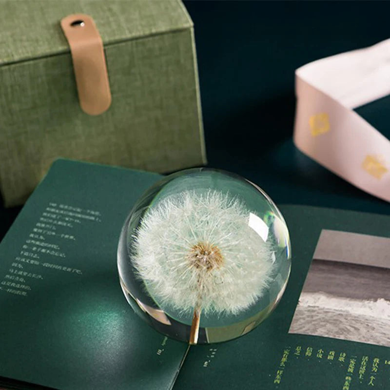 Dandelion Glass Decor