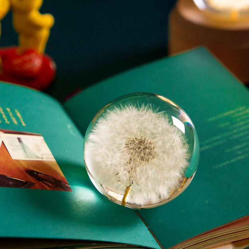 Dandelion Glass Decor
