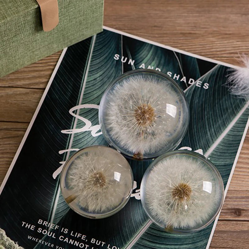 Dandelion Glass Decor