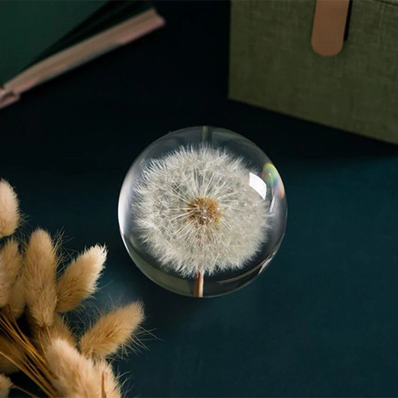 Dandelion Glass Decor